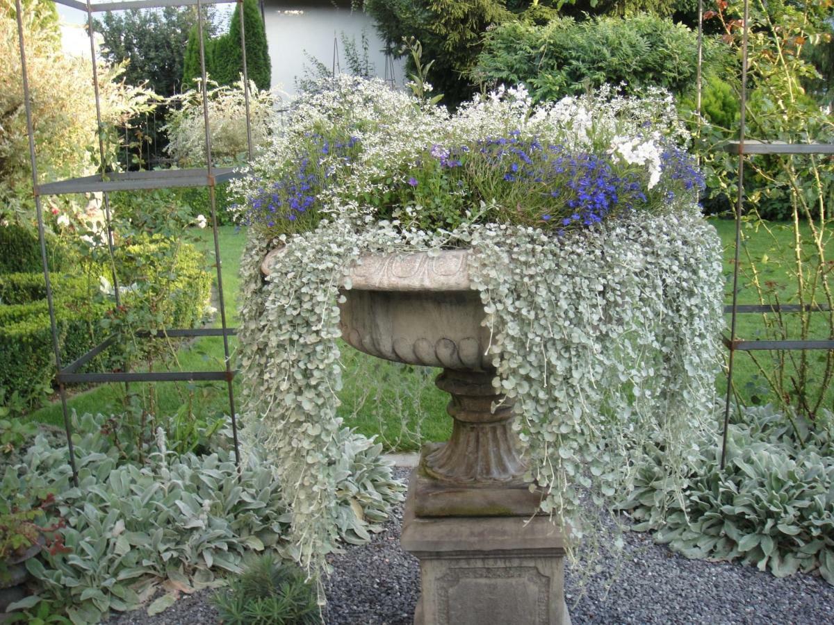 Charming And Cosy Apartment Near Lucerne Romerswil Εξωτερικό φωτογραφία